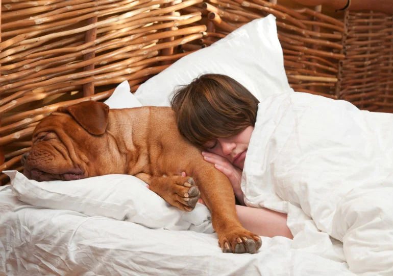 Should You Sleep with Your Pets?