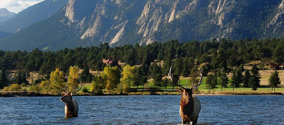 #NomadLife: Top 10 Places to Visit in the US in your Van or RV