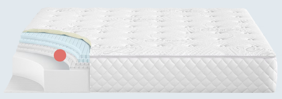 Natural Latex Foam