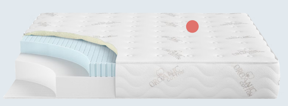 Organic Cotton