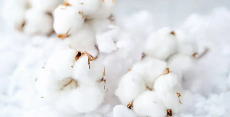 Cotton