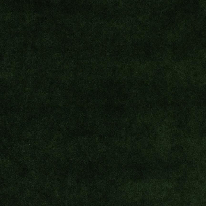 #color_emerald