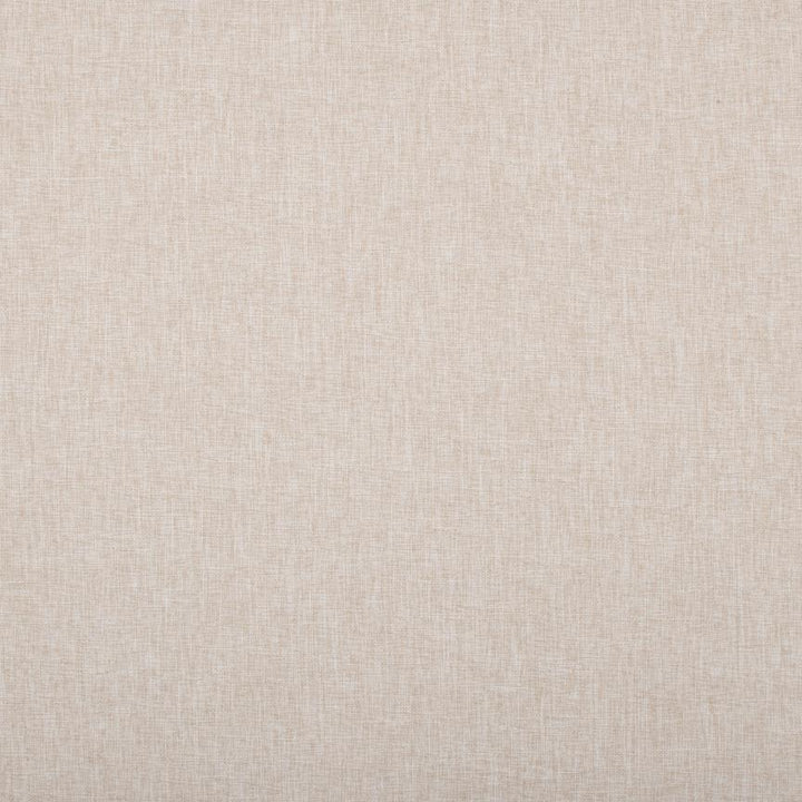 #color_oatmeal